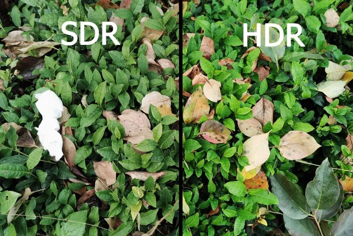 Yeşil yapraklarla kaplı bir zemin: solda SDR görüntüsü daha mat ve detaydan yoksun, sağda HDR ile parlak yeşiller, belirgin doku ve gölgelerde netlik. HDR, doğal renkleri ve kontrastı belirgin şekilde artırıyor..