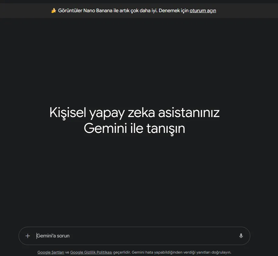 Gemini Arayüzünü gösteren gemini internet sitesinden alınmış bir ekran görüntüsü.