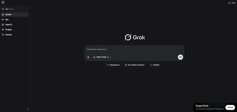 Grok web sitesinin kullanıcı arayüzünü gösteren bir ekran görüntüsü