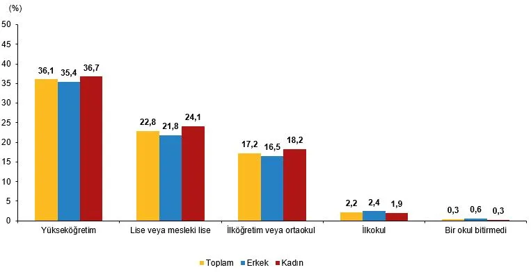 Cinsiyete ve eğitim durumuna göre üretken yapay zeka kullanım oranını gösteren istatistik şeması
