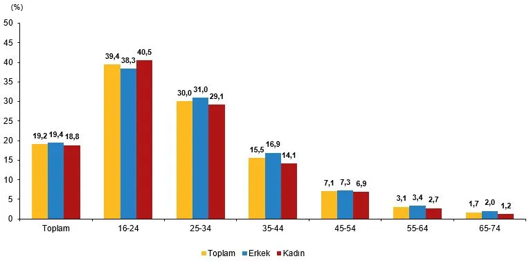 Cinsiyete ve yaş durumuna göre üretken yapay zeka kullanım oranını gösteren istatistik şeması